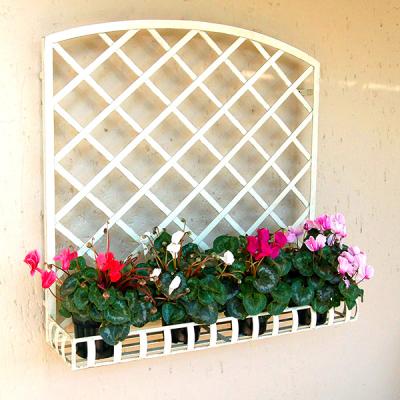 Wall-mounted trellis for pot plants